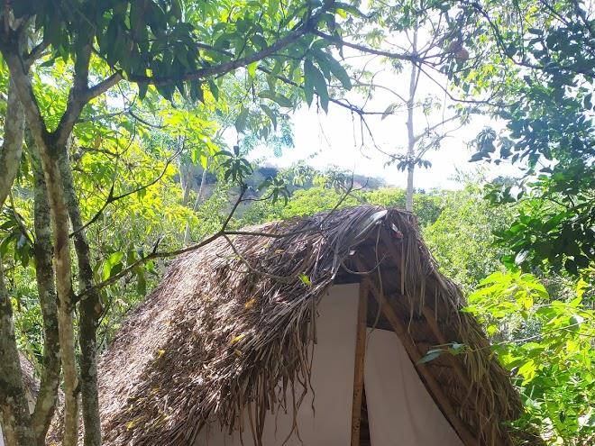 La Finca La Palmita Image