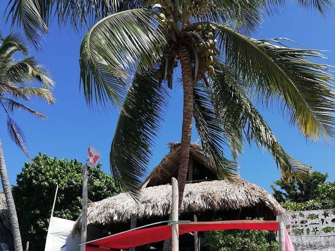 Cabana punta coral