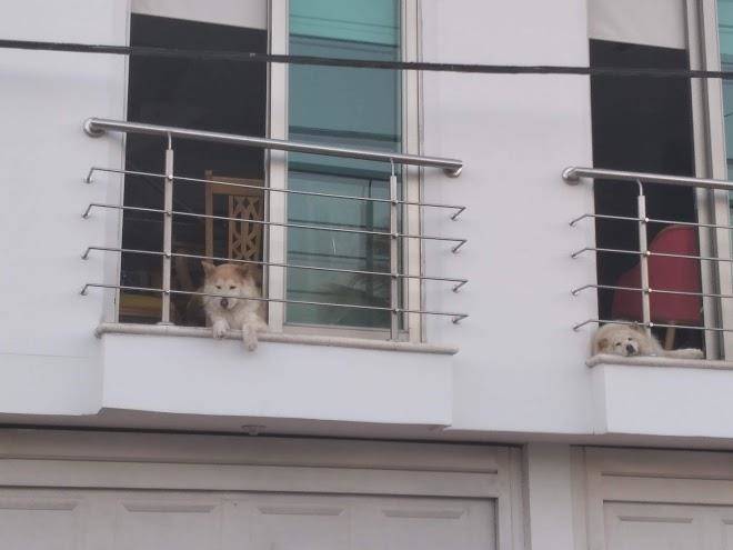 Hotel baos