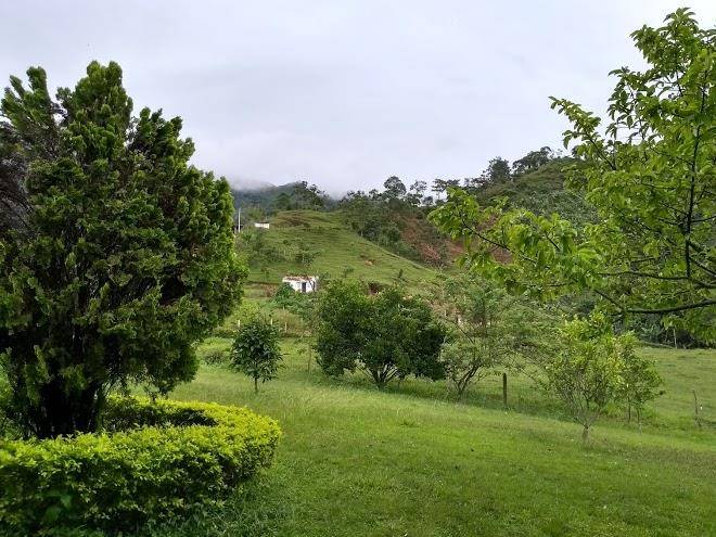 Finca las ayacas