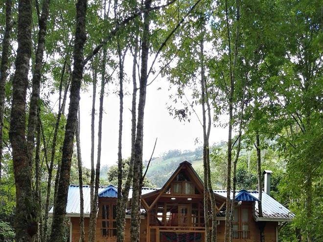 Urapanes del bosque turismo rural