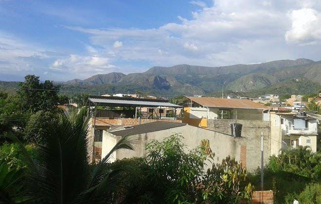 El bosque melgar