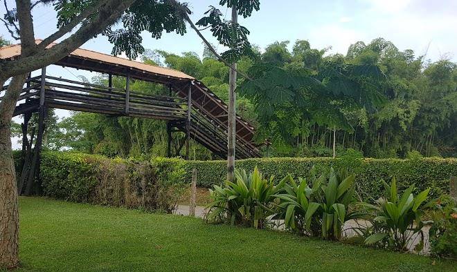 Hotel bosques del saman alcala