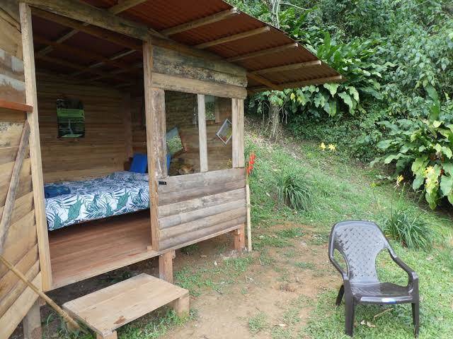 Desarrollo biodiverso