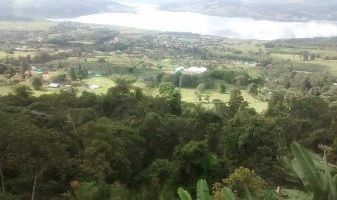 Cielo verde