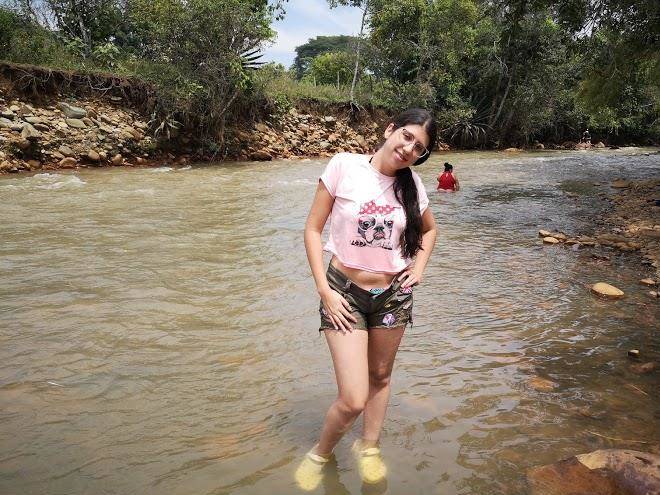 El naranjal