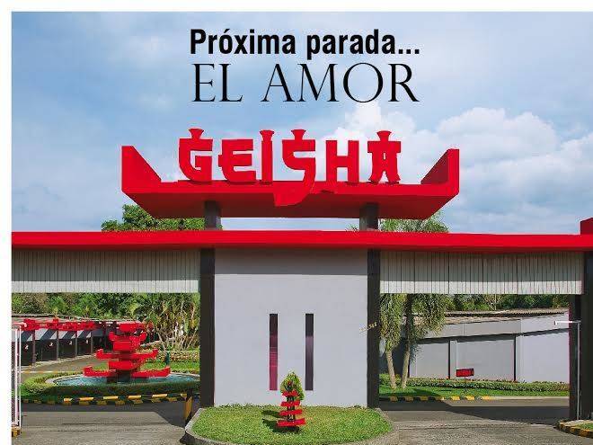 Motel Geisha Image