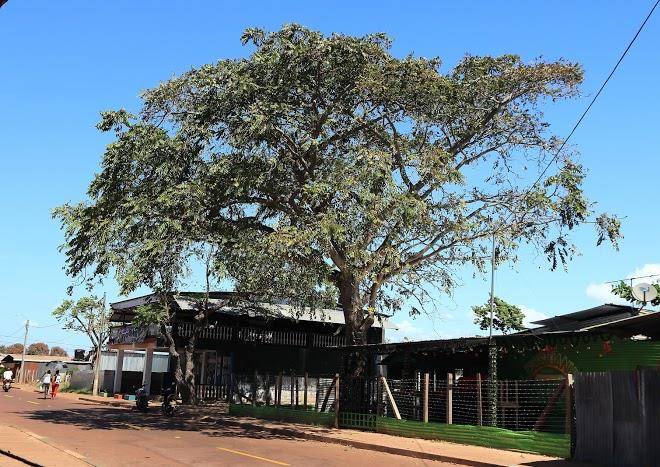 Hotel tierra azul