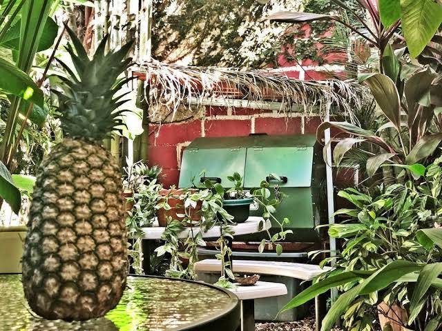 Hotel pacande