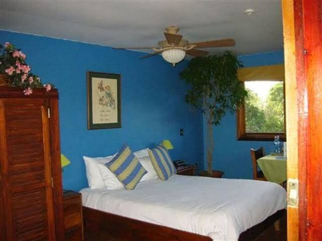 Vina Romantica Image