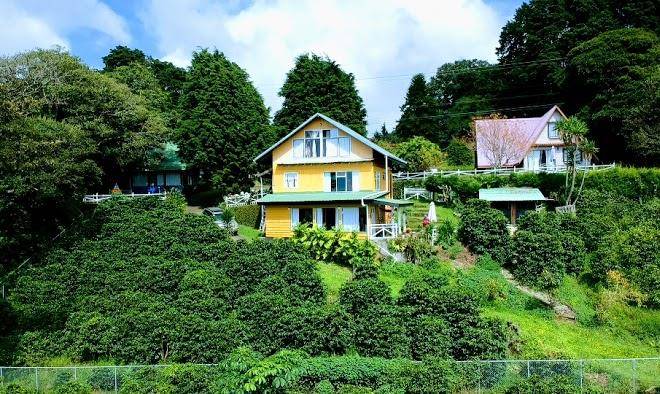Finca la petisa coffee plantation