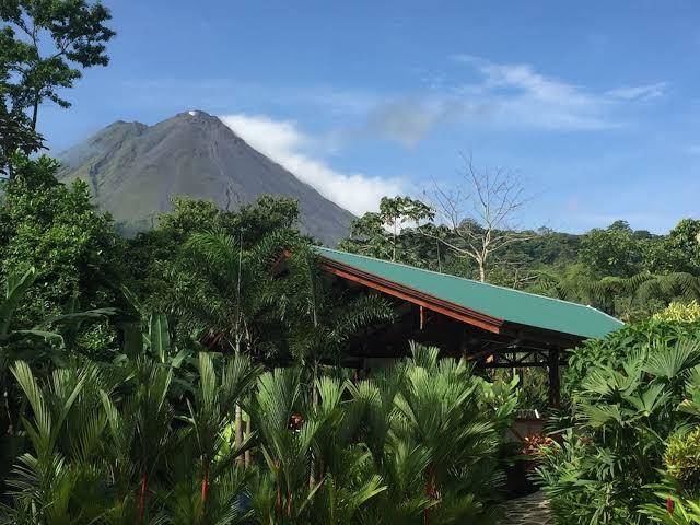 Mussaenda hotel & gardens