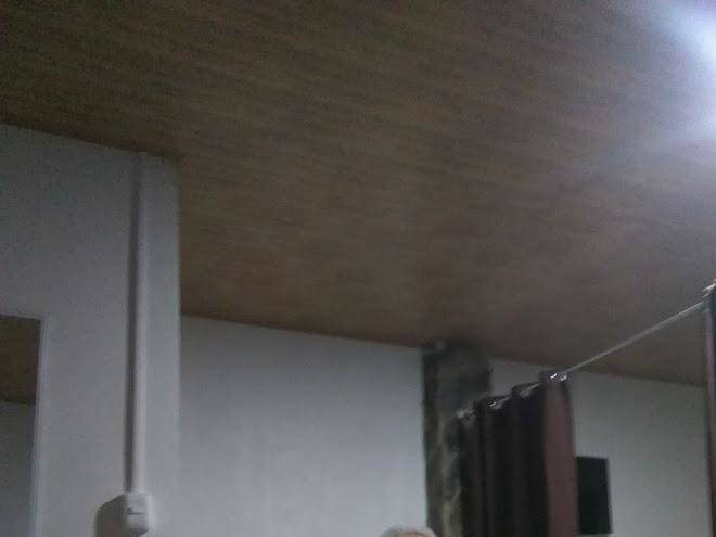 Nido del buho