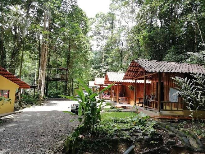 Recreo verde
