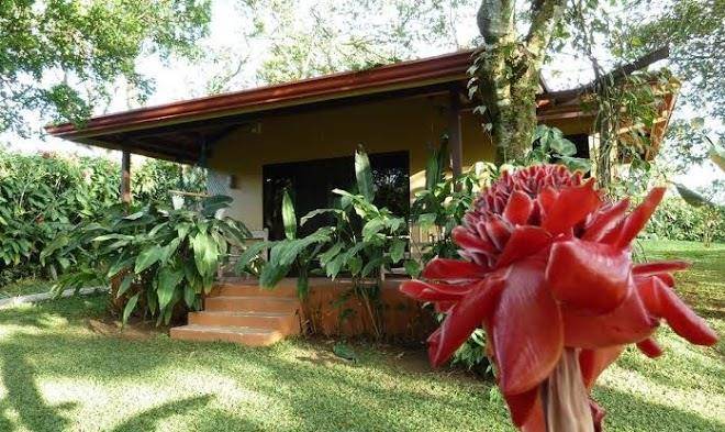 Tacacori eco lodge
