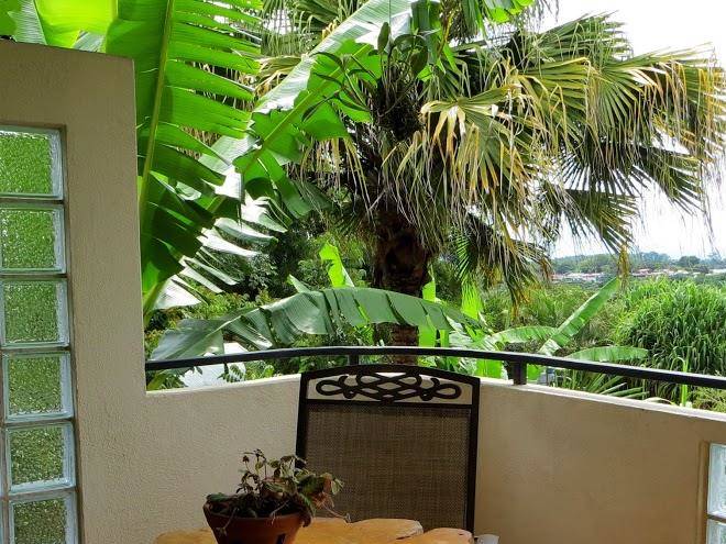 Pura vida hotel