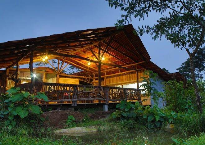 La tigra rainforest lodge