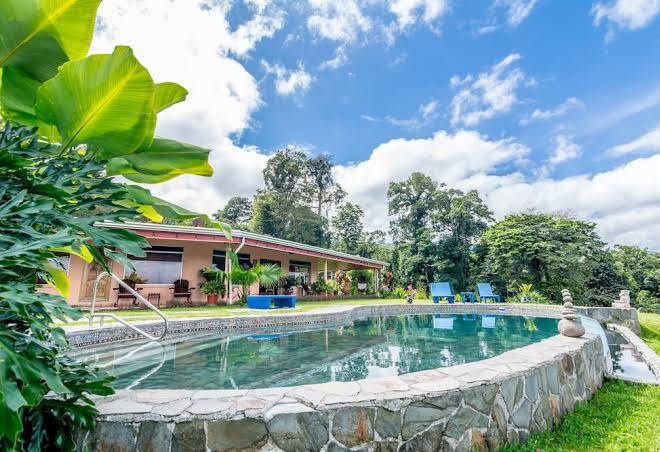 Nepenthe b&b