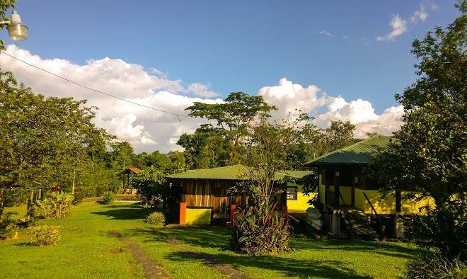 Hotel los gallitos