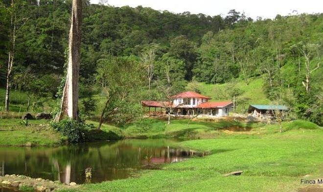 Finca mei tai b&b