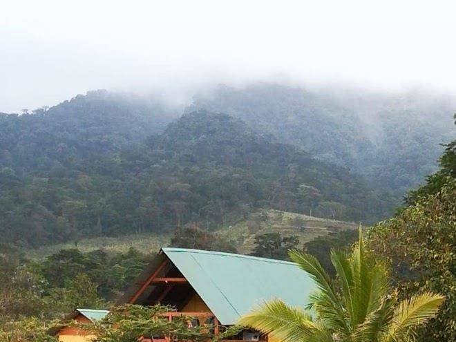 Finca sofia