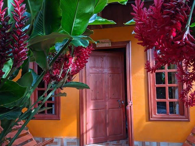 Jardin entre montanas