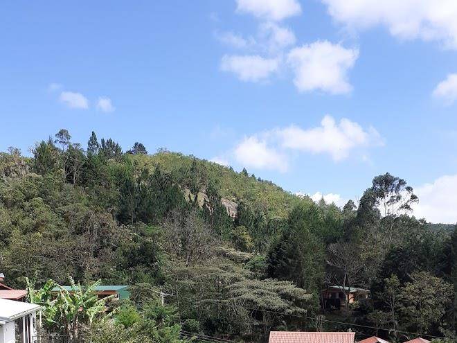 Cabana apto vista verde
