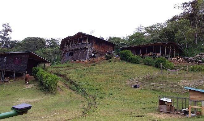 Mirador las oropendolas