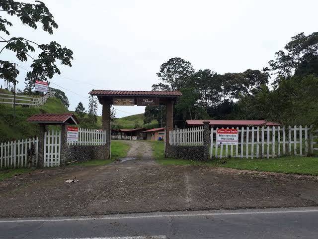 Finca tres equis farm and forest