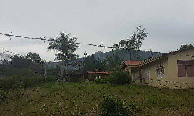 Guayabo Butterfly Garden Eimi Image