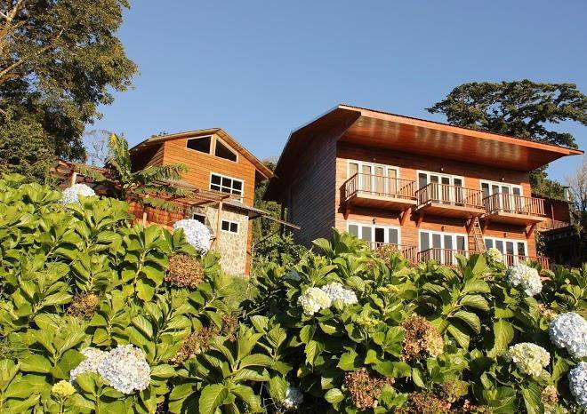 Hotel bosque verde lodge