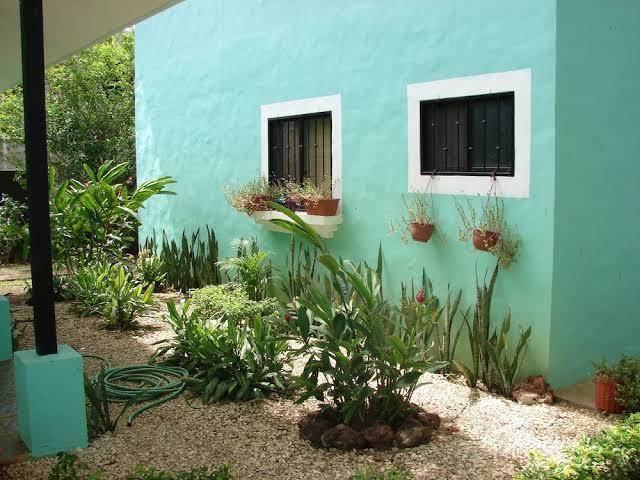 Green forest of coco beach studios