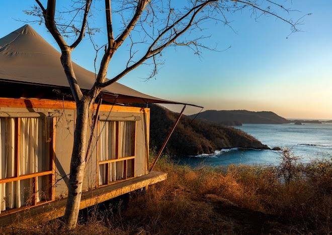 Kasiiya papagayo