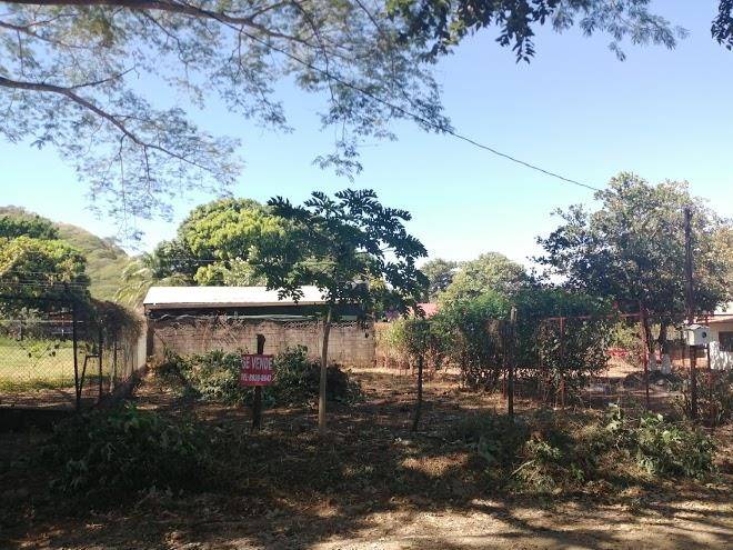 Rancho armadillo estate hotel