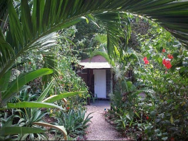La tropicale