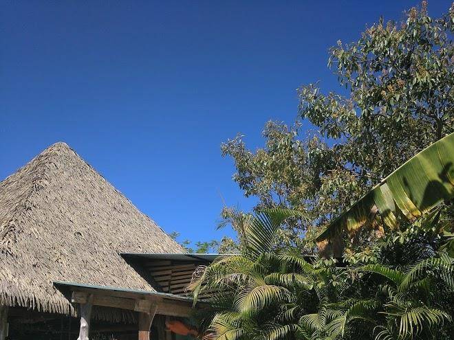 Carao project