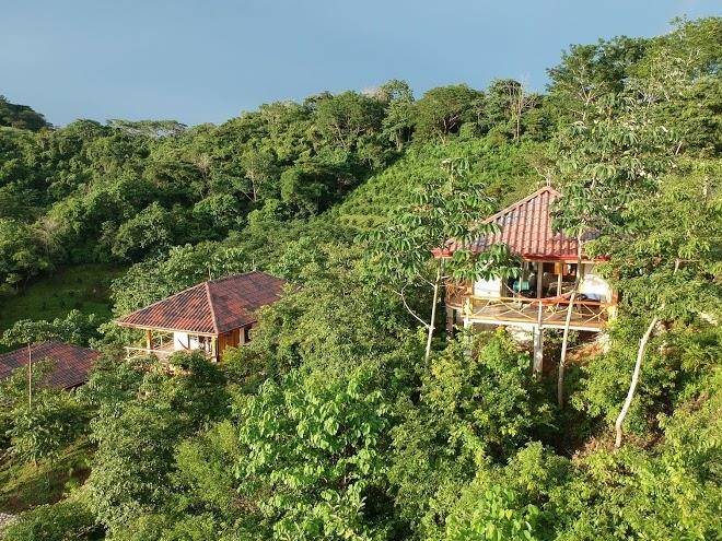 Finca cotinga azul