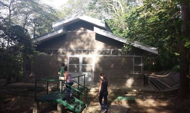 Palo verde biological station