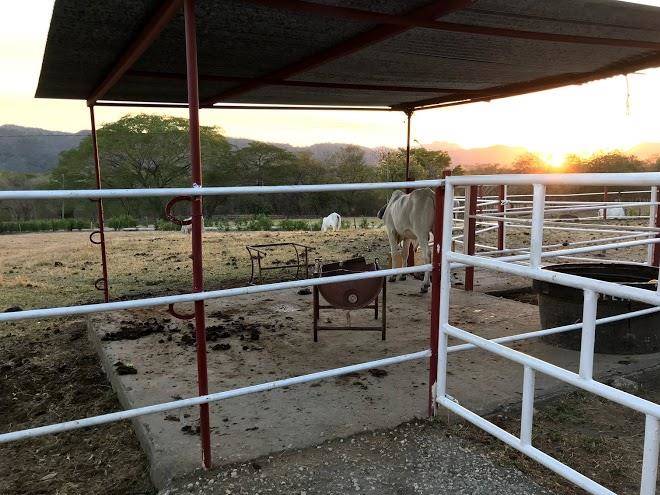 Sobrado ranch