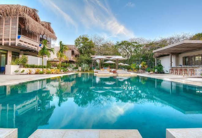 The Gilded Iguana Image