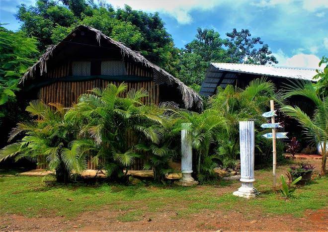 Barba negra lodge