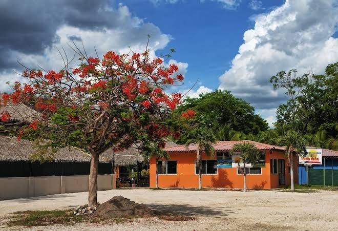Hotel guanacaste lodge
