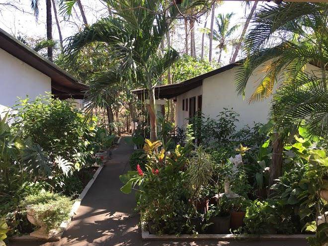 Hotel hibiscus