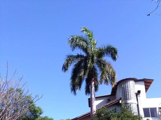 Hotel las tortugas