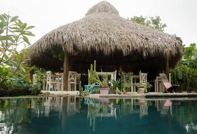 Hotel glamping flor y bambu
