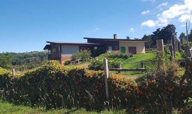 Quinta esencia