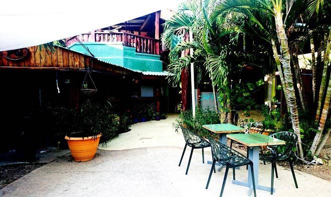 Sugar's Monkey Image