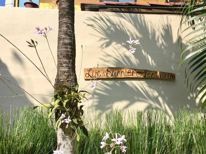 Ten north tamarindo beach hotel