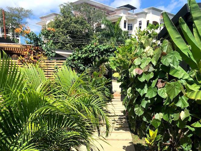 Zen garden tamarindo