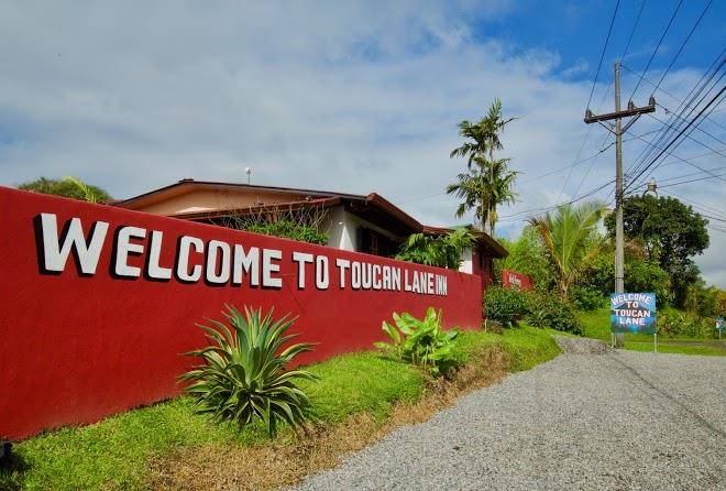 Toucan lane